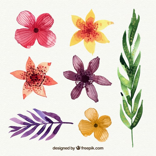 Tropical flowers collection in watercolor style