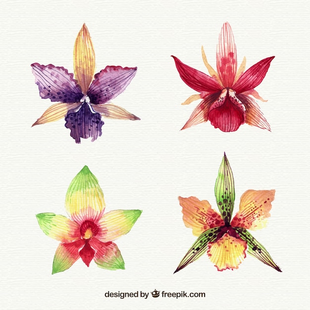 Free vector tropical flowers collection in watercolor style