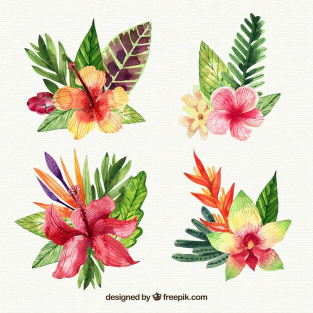 Tropical flowers collection in watercolor style