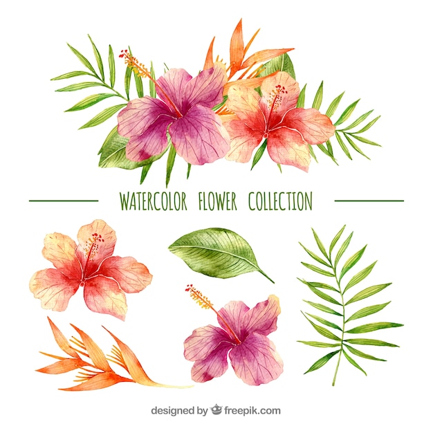 Tropical flowers collection in watercolor style