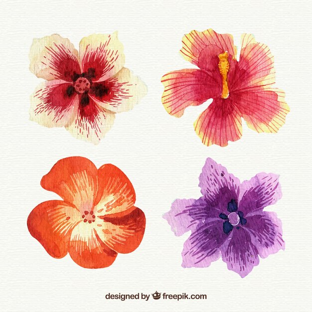 Tropical flowers collection in watercolor style