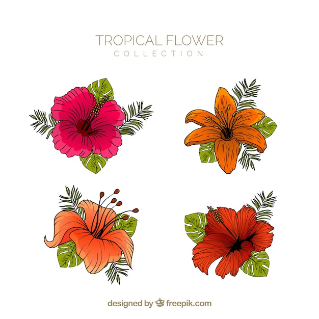 Tropical flowers collection