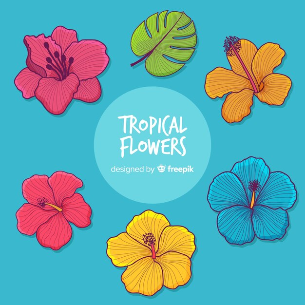 Tropical flowers collection