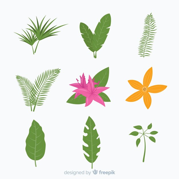 Tropical flowers and leaves collection