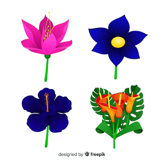 Free Vector tropical flowers and leaves collection