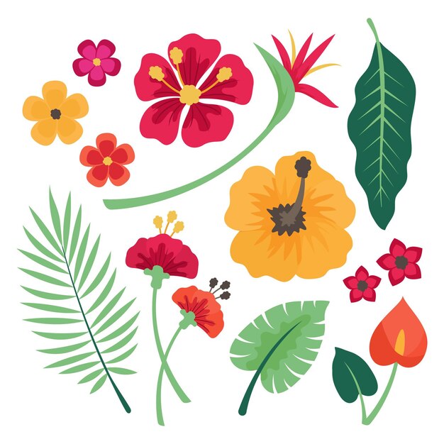 Tropical flowers and leaves collection