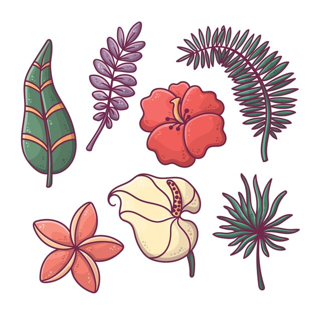 Tropical flowers and leaves collection