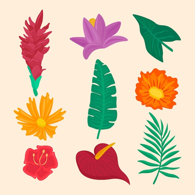 Free Vector tropical flowers and leaves collection