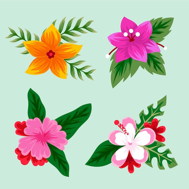 Free Vector tropical flowers and leaves collection