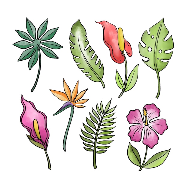 Free Vector tropical flowers and leaves pack