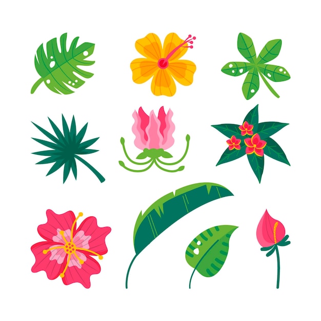 Free vector tropical flowers and leaves set