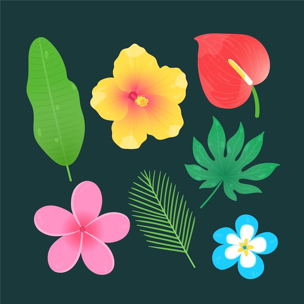 Tropical flowers and leaves set