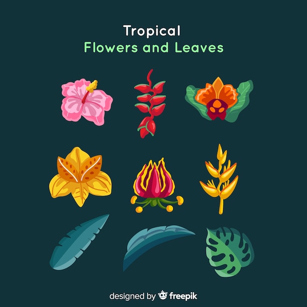 Free Vector tropical flowers and leaves