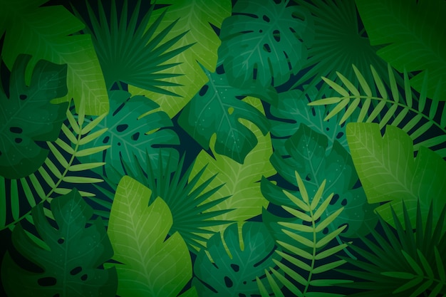 Tropical foliage background