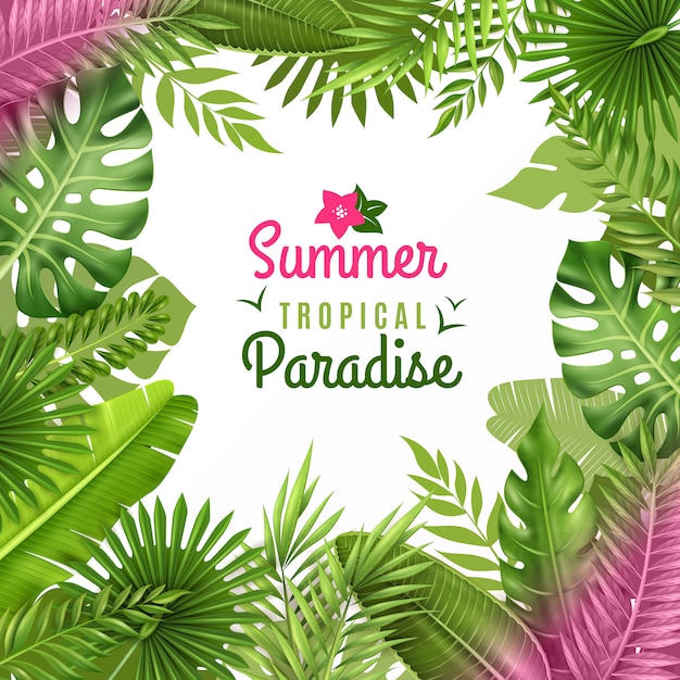 Free Vector tropical foliage decorative background 