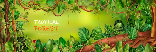 Free Vector tropical forest background