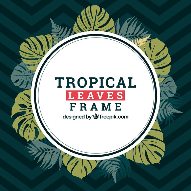 Tropical frame with leaves in flat style