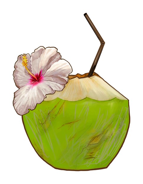 Tropical fresh young coconut illustration