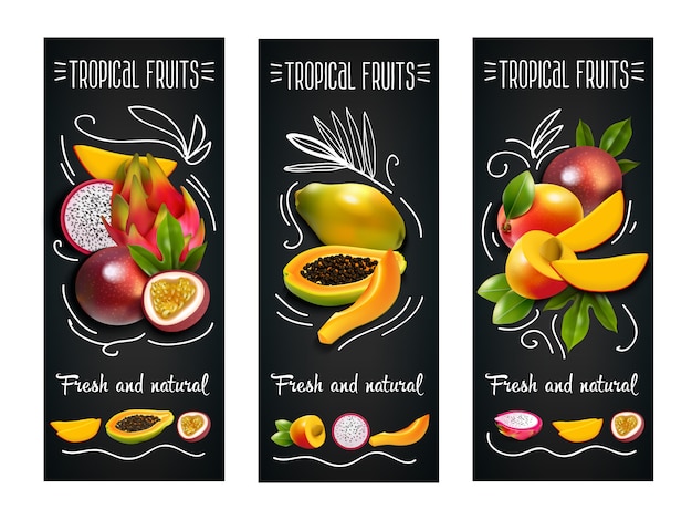 Free Vector tropical fruits chalkboard label set 