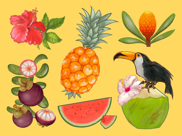 Free Vector tropical fruits and flower illustration