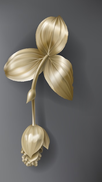 Free Vector tropical gold medinilla flower on dark black