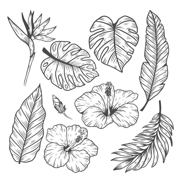 Tropical leaf and flower collection