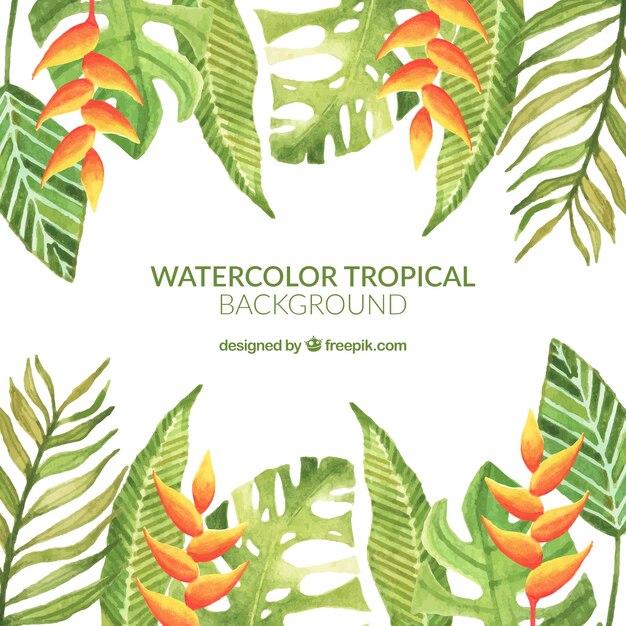 Tropical leaves background