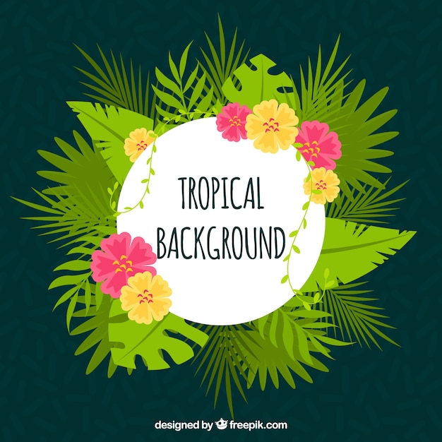 Tropical leaves background