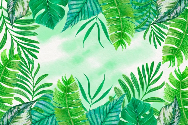 Tropical leaves background