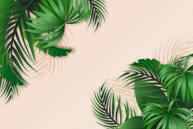 Tropical leaves background