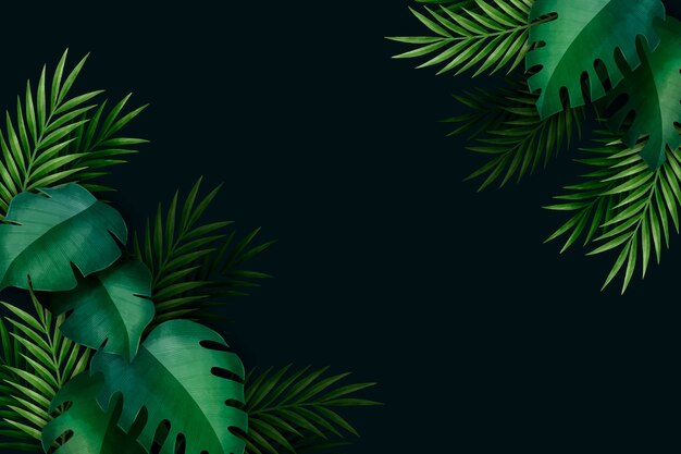 Tropical leaves background