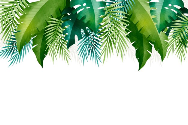 Tropical leaves background