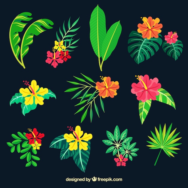 Tropical leaves collection in flat style