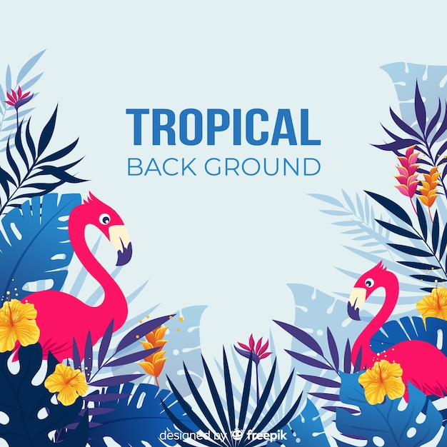 Tropical leaves and exotic birds background