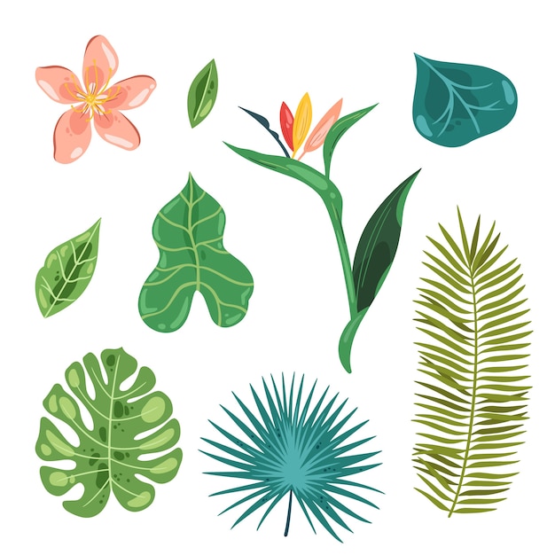 Tropical leaves and flowers