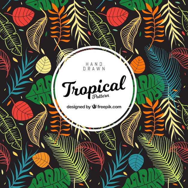 Tropical leaves pattern