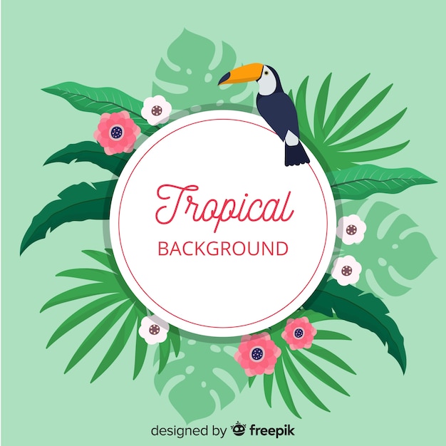 Tropical leaves and tucan background