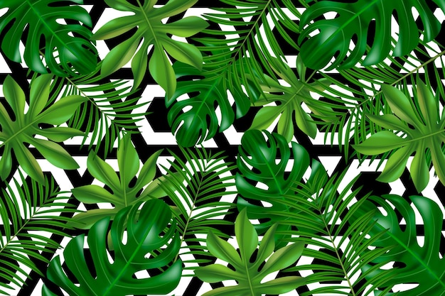 Tropical leaves with geometric background