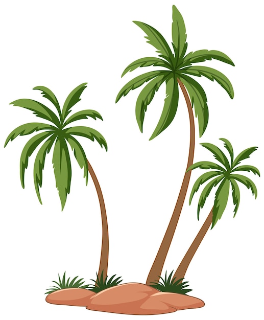 Tropical Palm Trees Vector Illustration