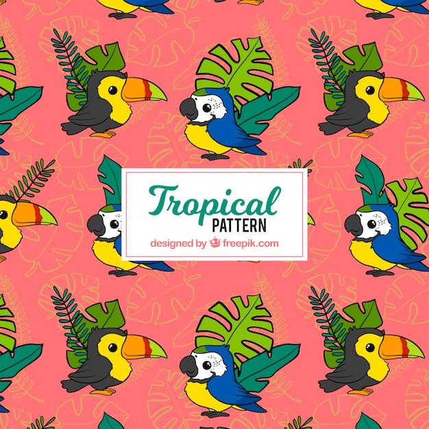 Free vector tropical pattern with leaves and birds