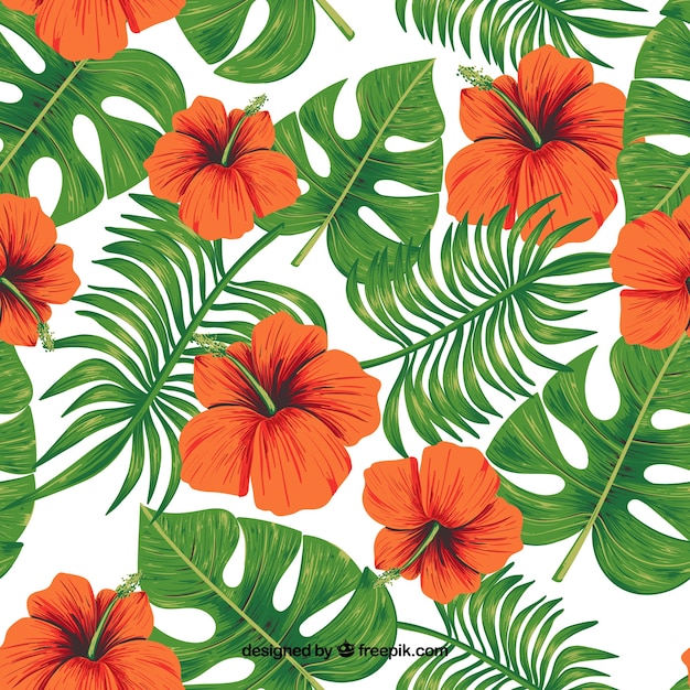 Tropical pattern