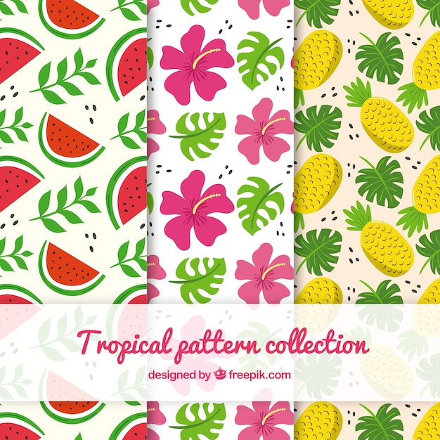 Tropical patterns collection with flowers and fruits