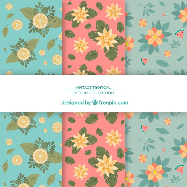 Tropical patterns collection with flowers