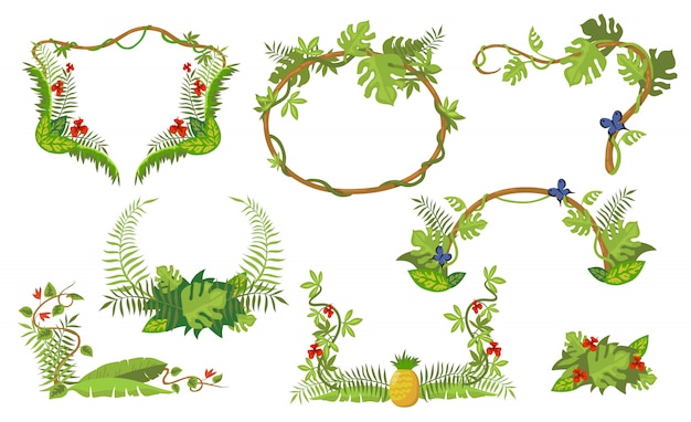 Free Vector tropical plants frame set