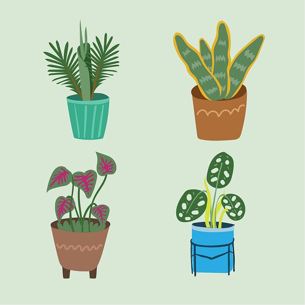 Tropical Potted Houseplant Illustration Set