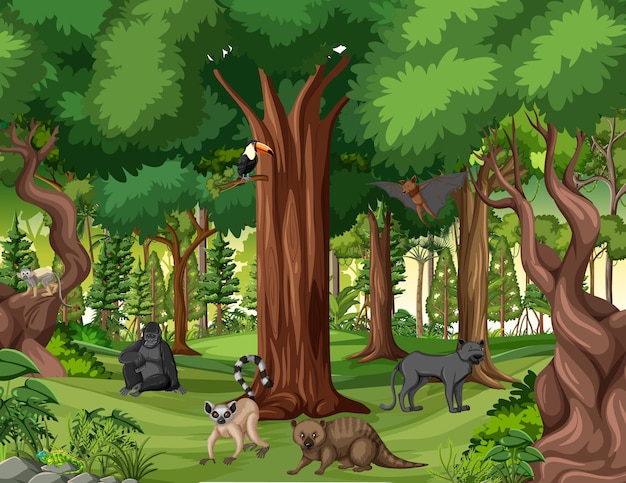 Free Vector tropical rainforest scene with various wild animals