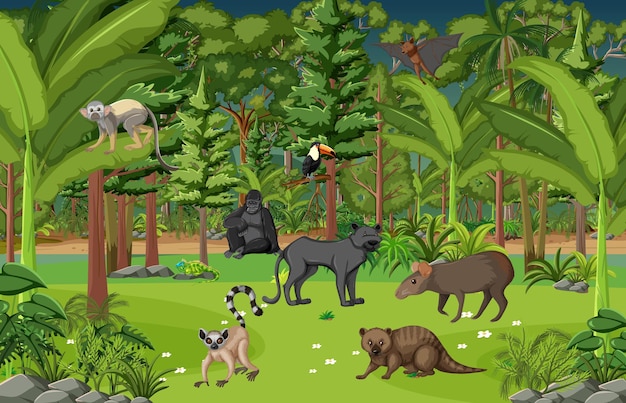 Free vector tropical rainforest scene with various wild animals