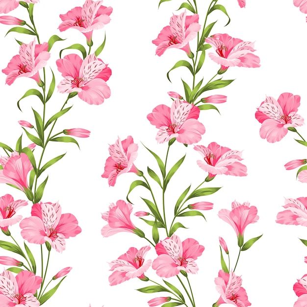 Free Vector tropical seamless pattern. blooming alstroemeria on white background.