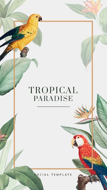 Free Vector tropical social story template