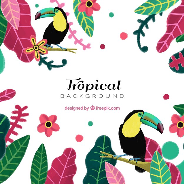 Tropical summer background with colorful plants and toucans